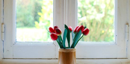 Jak chłodzić wnętrze bez klimatyzacji