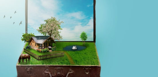 przygotowanie dzialki