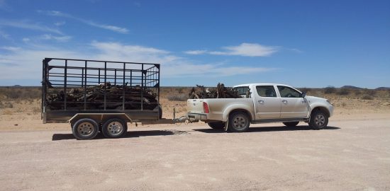 przyczepka samochodowa