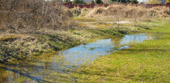 odwodnienia iglofiltrami