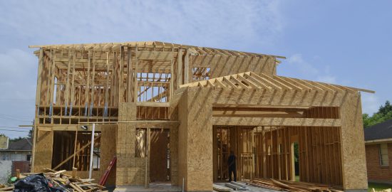 informacje o projektach domow szkieletowych